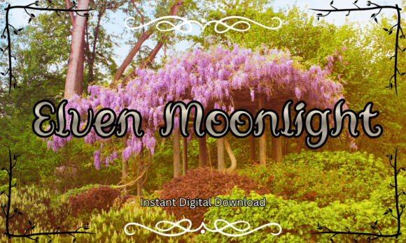 Elven Moonlight: A Whimsical Font for Enchanting Web Design